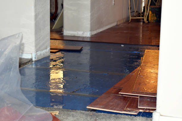 Professional Basement Flooding technician working in Old Orchard Beach, ME